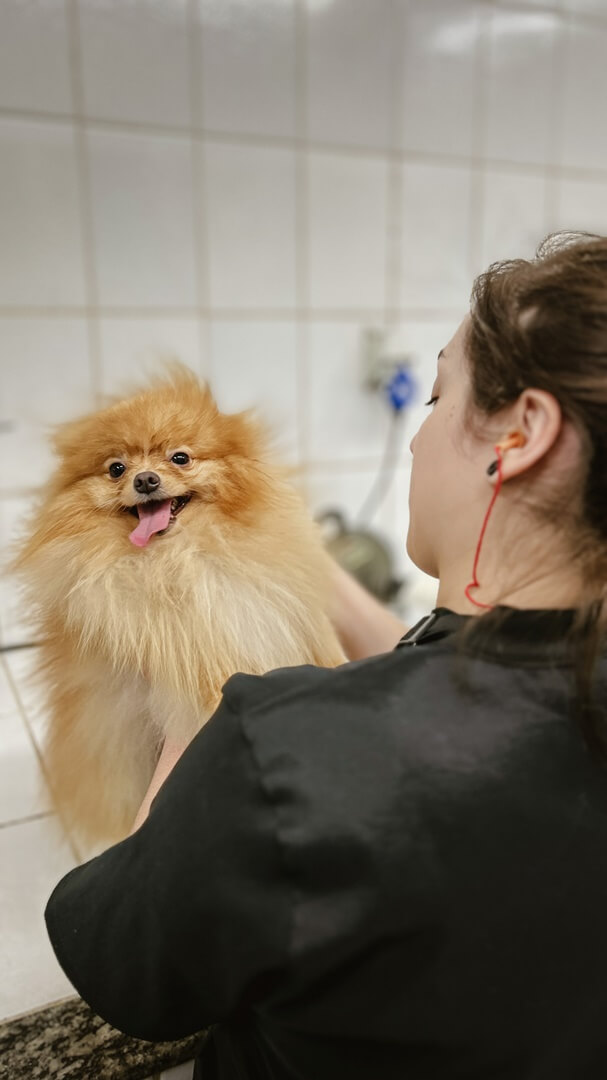 Hospital Veterinário Bionicão em Sorocaba São Paulo