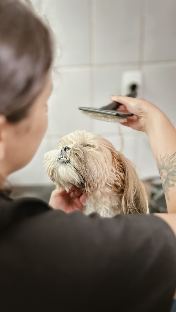 Banho e Tosa - Hospital Veterinário Bionicão