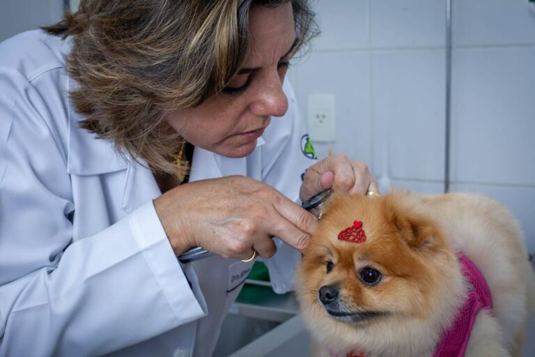 Hospital Veterinário Bionicão em Sorocaba São Paulo