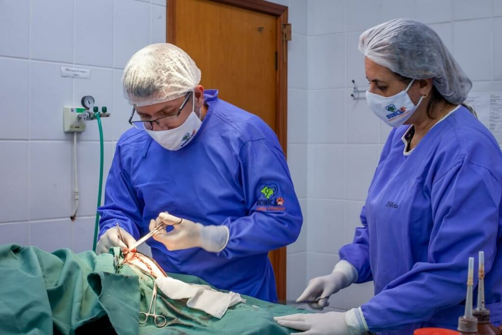 Hospital Veterinário Bionicão em Sorocaba São Paulo