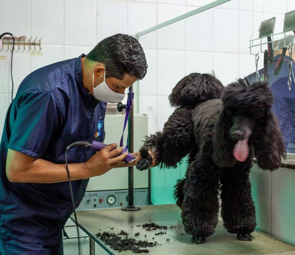 Hospital Veterinário Bionicão em Sorocaba São Paulo