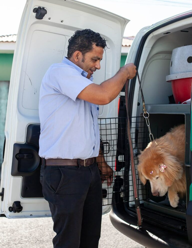 Hospital Veterinário Bionicão em Sorocaba São Paulo