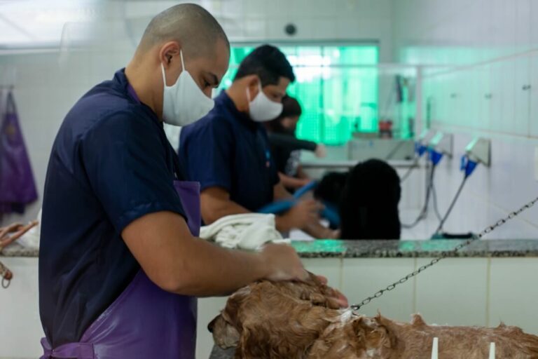 Hospital Veterinário Bionicão em Sorocaba São Paulo