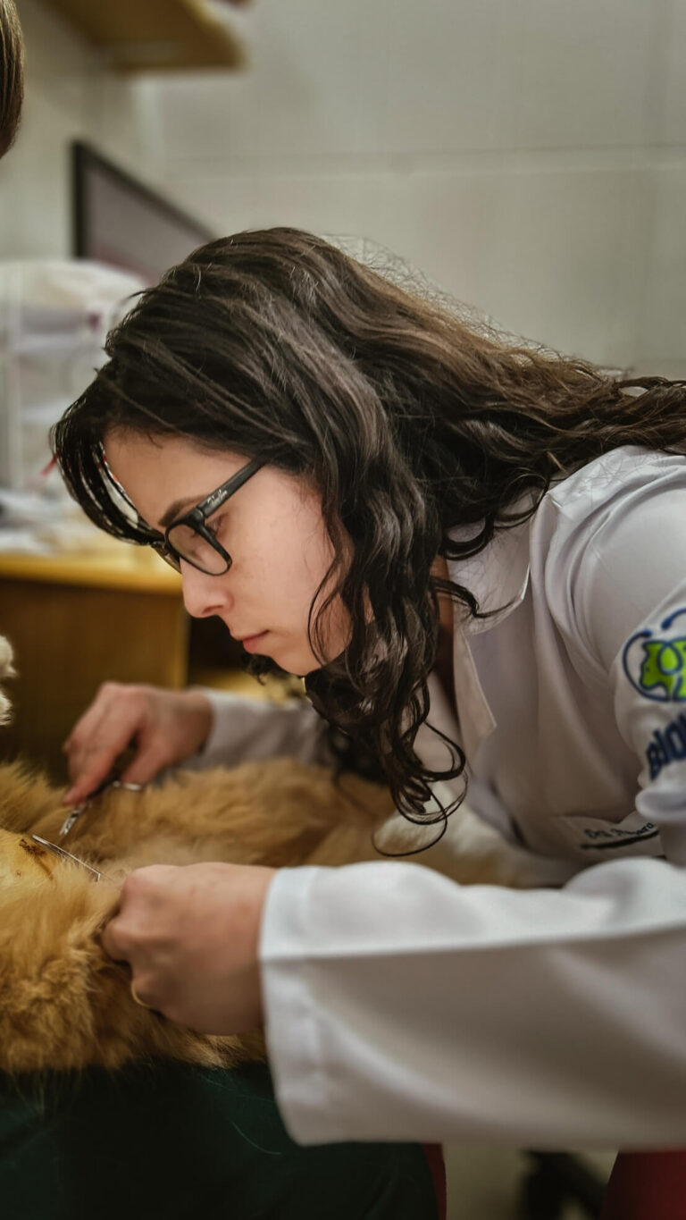 Hospital Veterinário Bionicão em Sorocaba São Paulo