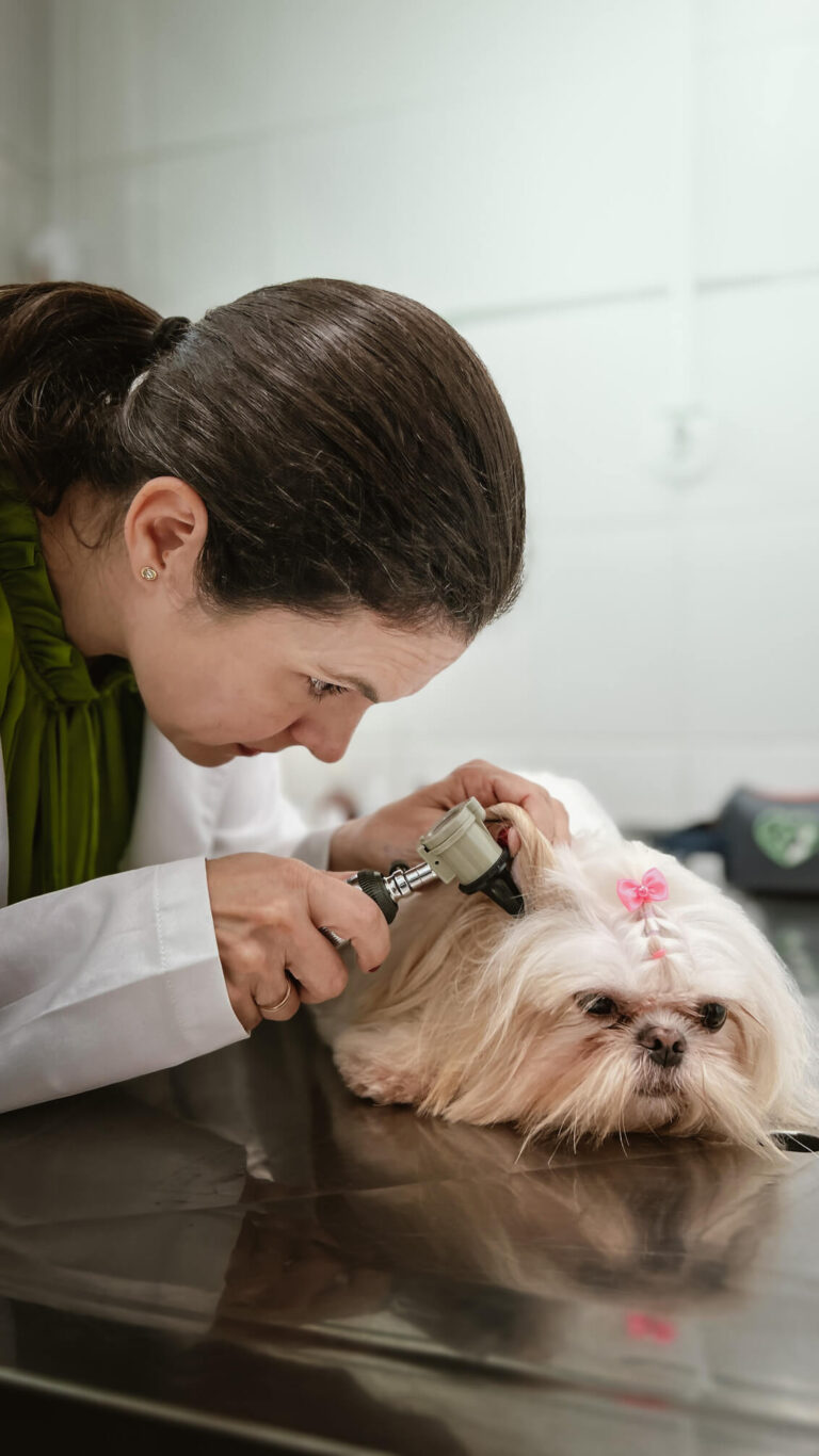 Hospital Veterinário Bionicão em Sorocaba São Paulo