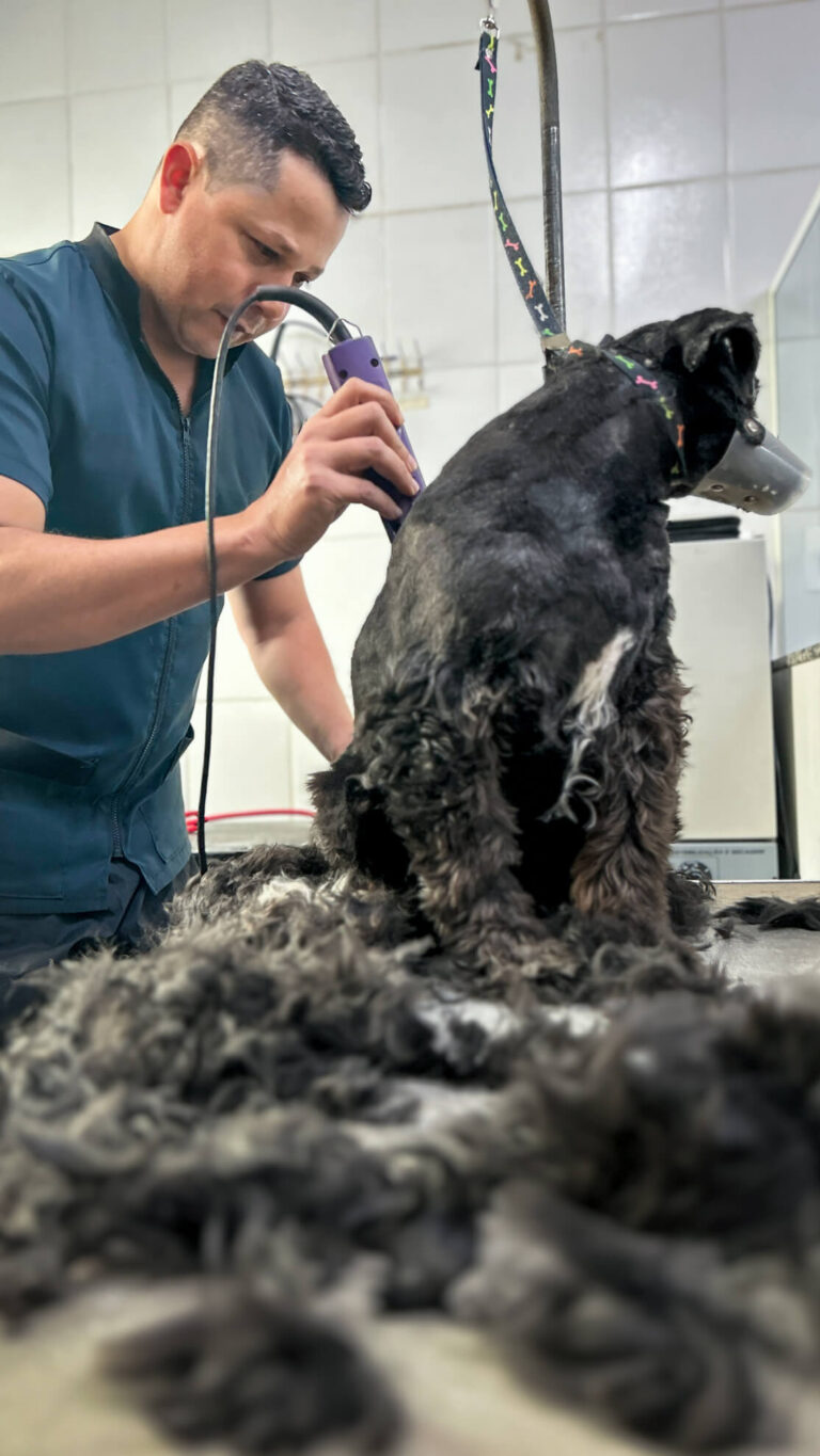 Hospital Veterinário Bionicão em Sorocaba São Paulo