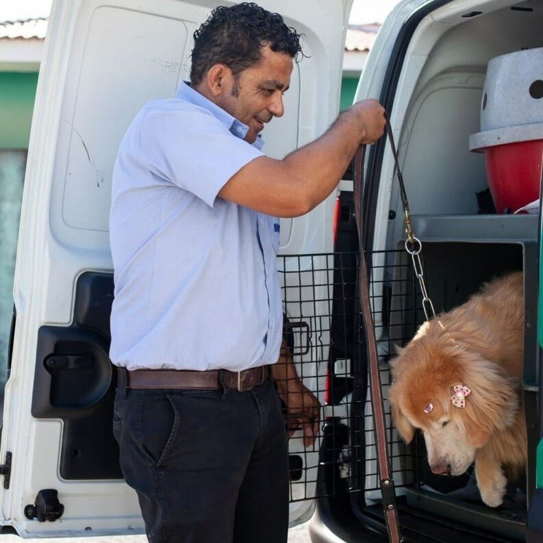 Hospital Veterinário Bionicão em Sorocaba São Paulo