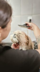 Hospital Veterinário Bionicão em Sorocaba São Paulo